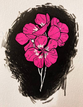 Posca Flowers