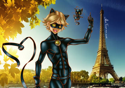 chat noir