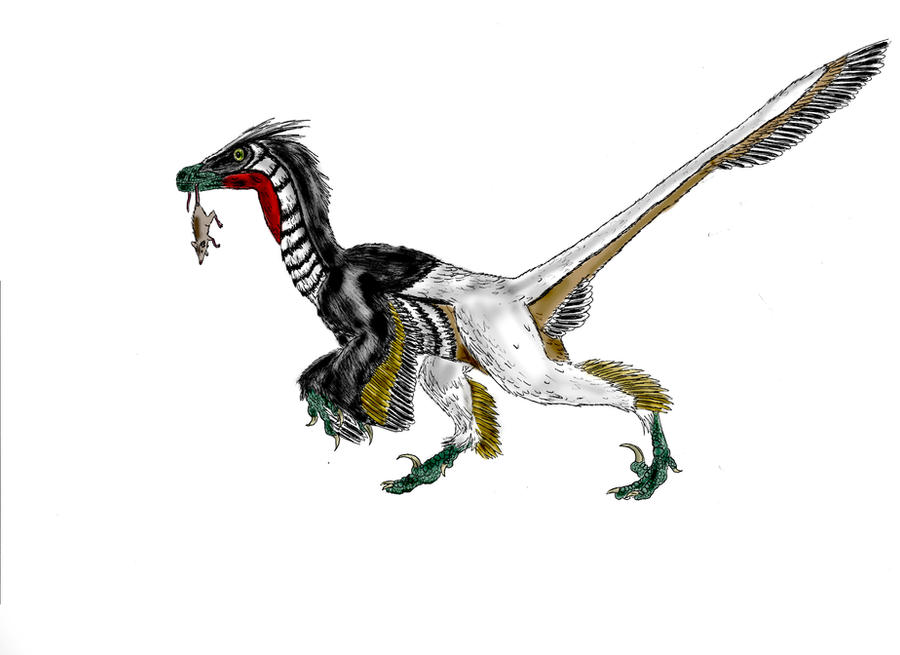 Linheraptor exquisitus