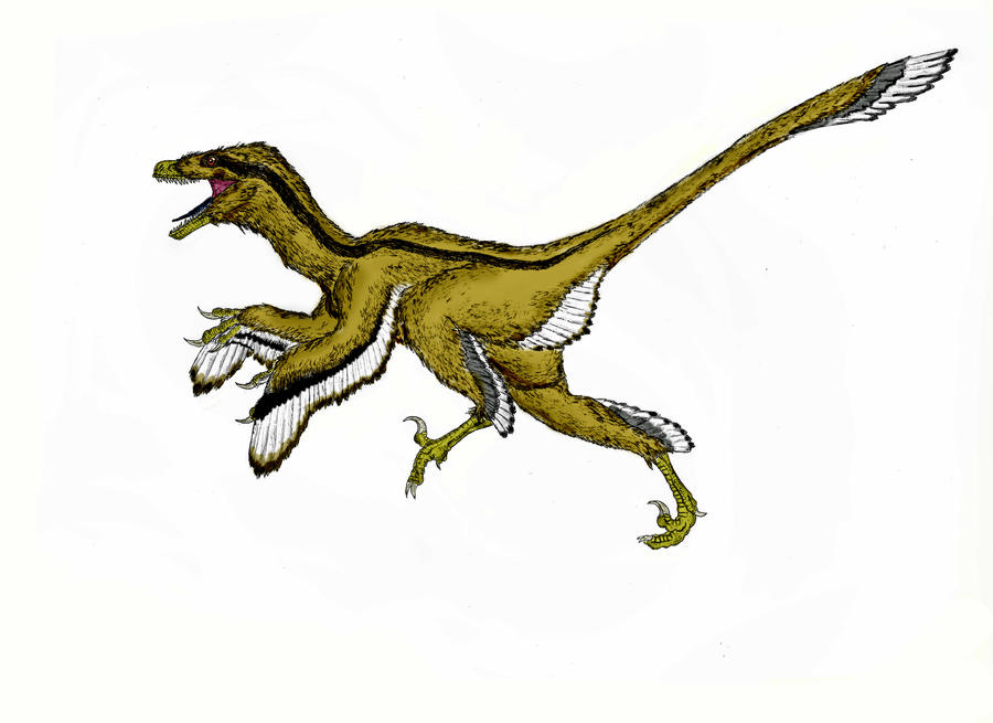 Dromaeosaurus 2.0