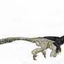 Velociraptor mongoliensis