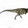 Updated Tyrannosaurus Rex