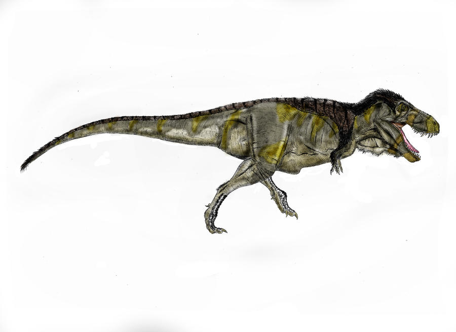 Updated Tyrannosaurus Rex