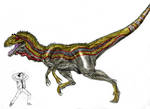Allosaurus maximus