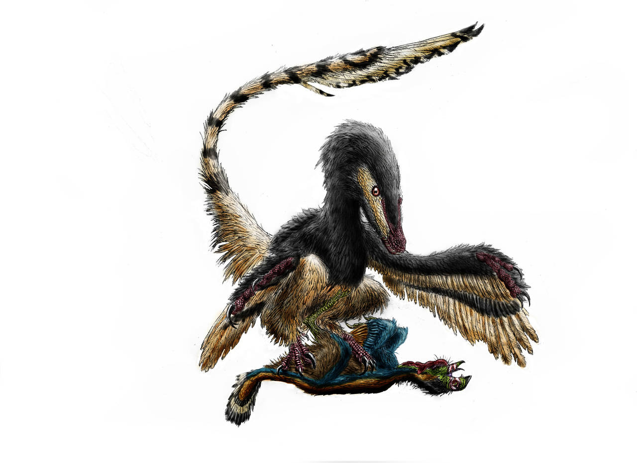 Mortal techniques II: Velociraptor by Durbed