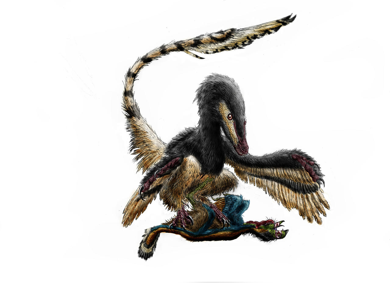 Mortal techniques II: Velociraptor