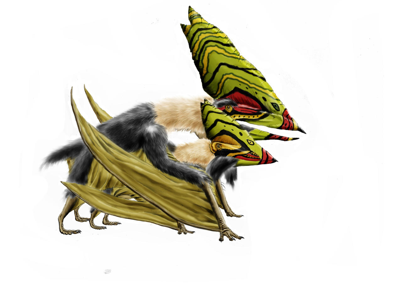 Hot fuzz: Thalassodromeus by Durbed
