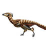 Troodon formosus