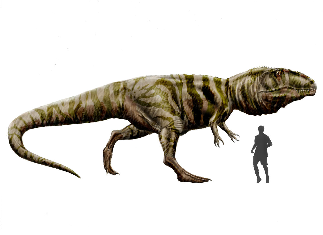 Giganotosaurus carolinii by Durbed
