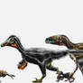 Dromaeosaur parade