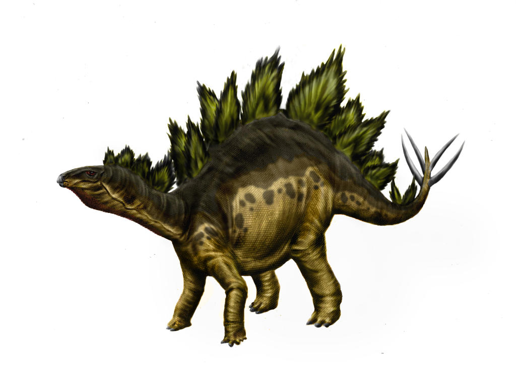 Stegosaurus armatus by Durbed