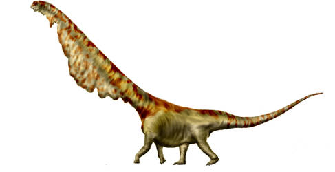 Mamenchisaurus sinocanadorum