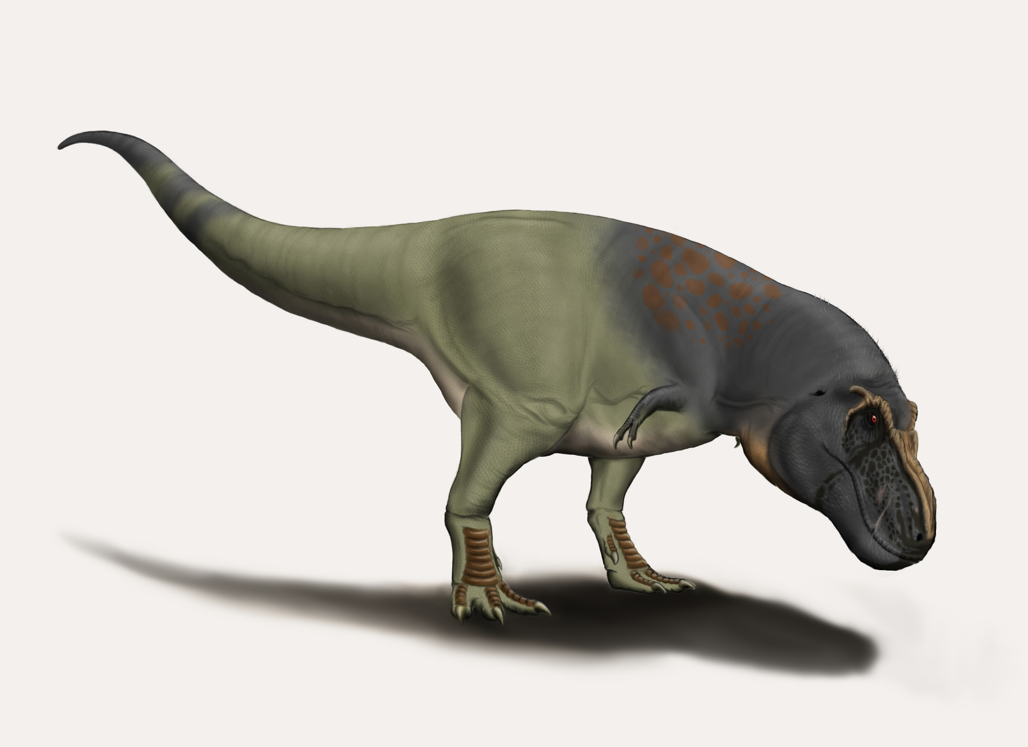 Tarbosaurus Bataar By Durbed On DeviantArt tarbosaurus-bataar-by-durbed-on-deviantart