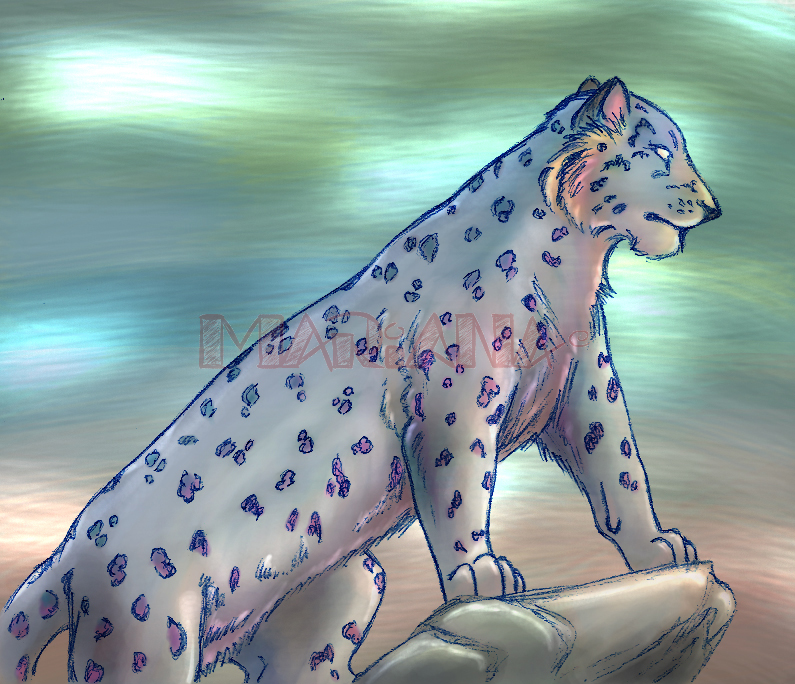 Panthera onca - panther