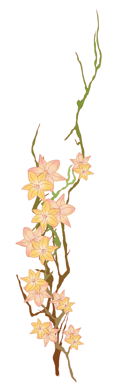 flowers vector