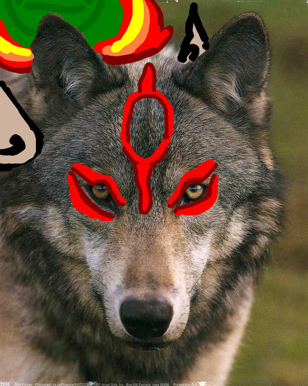 The real Okami by lil-Wolf-19 on DeviantArt