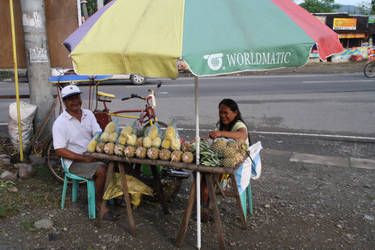 Pineapple vendor
