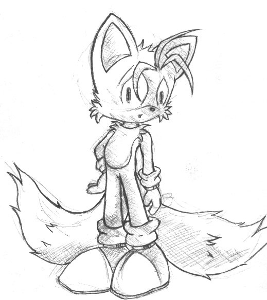 omg tails