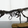 Tyrannosaurus rex Sculpture