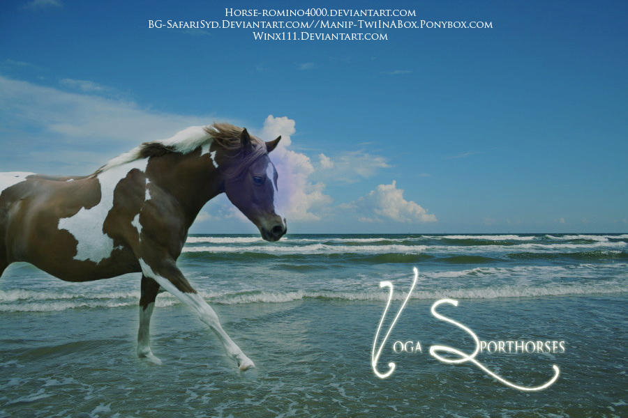 Wind Rider by winx111 on DeviantArt