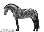 RF All That Jazz by winx111