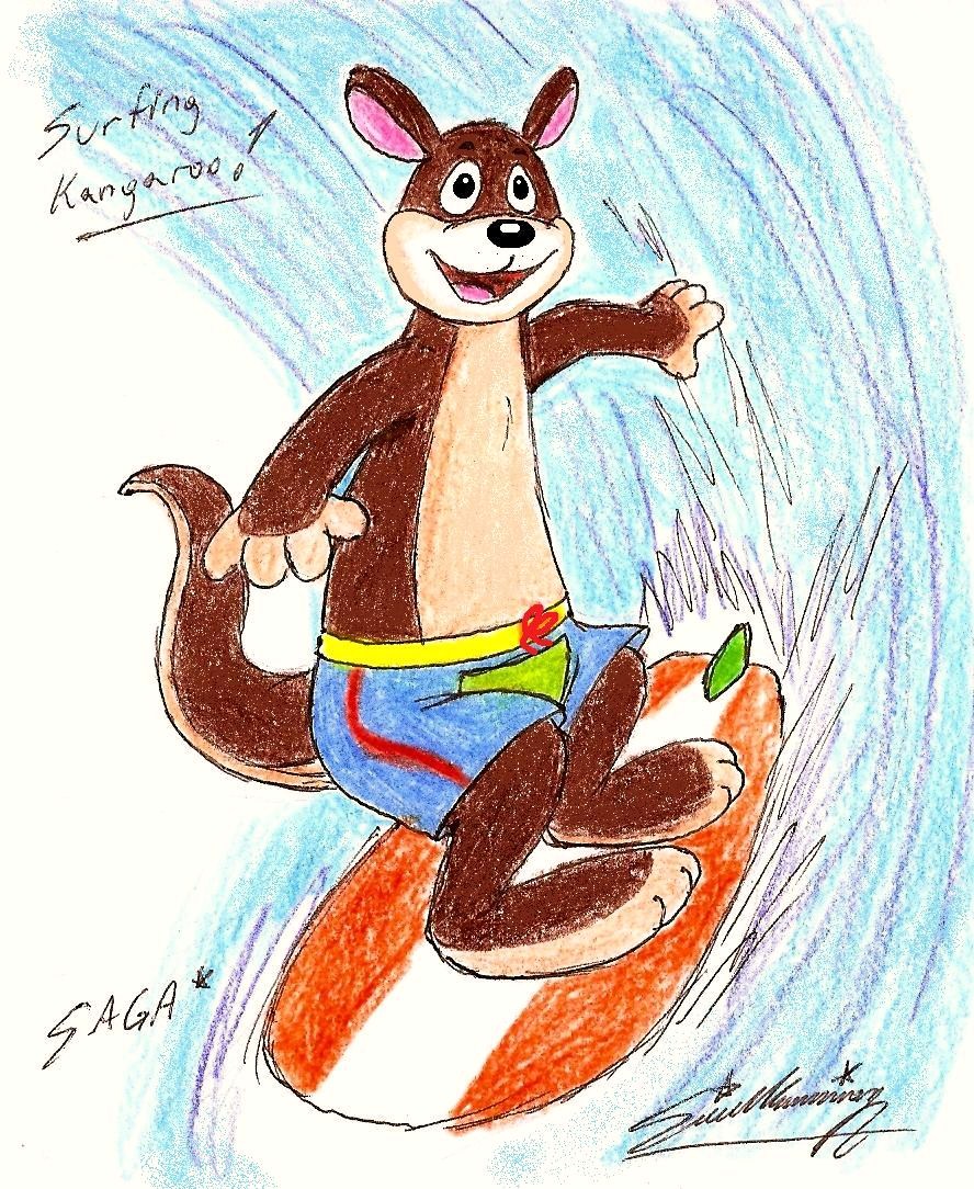 The Kangaroo Surfing!