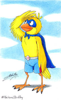 Super Birdie sketchbook (scanned)