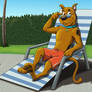 Scooby Doo at the poolside