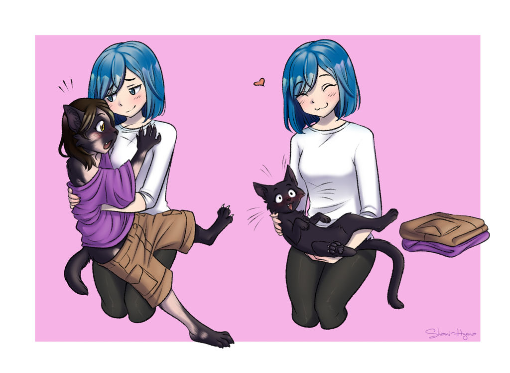 Lap Cat by shani-hyena on DeviantArt