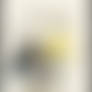 False Cadmium