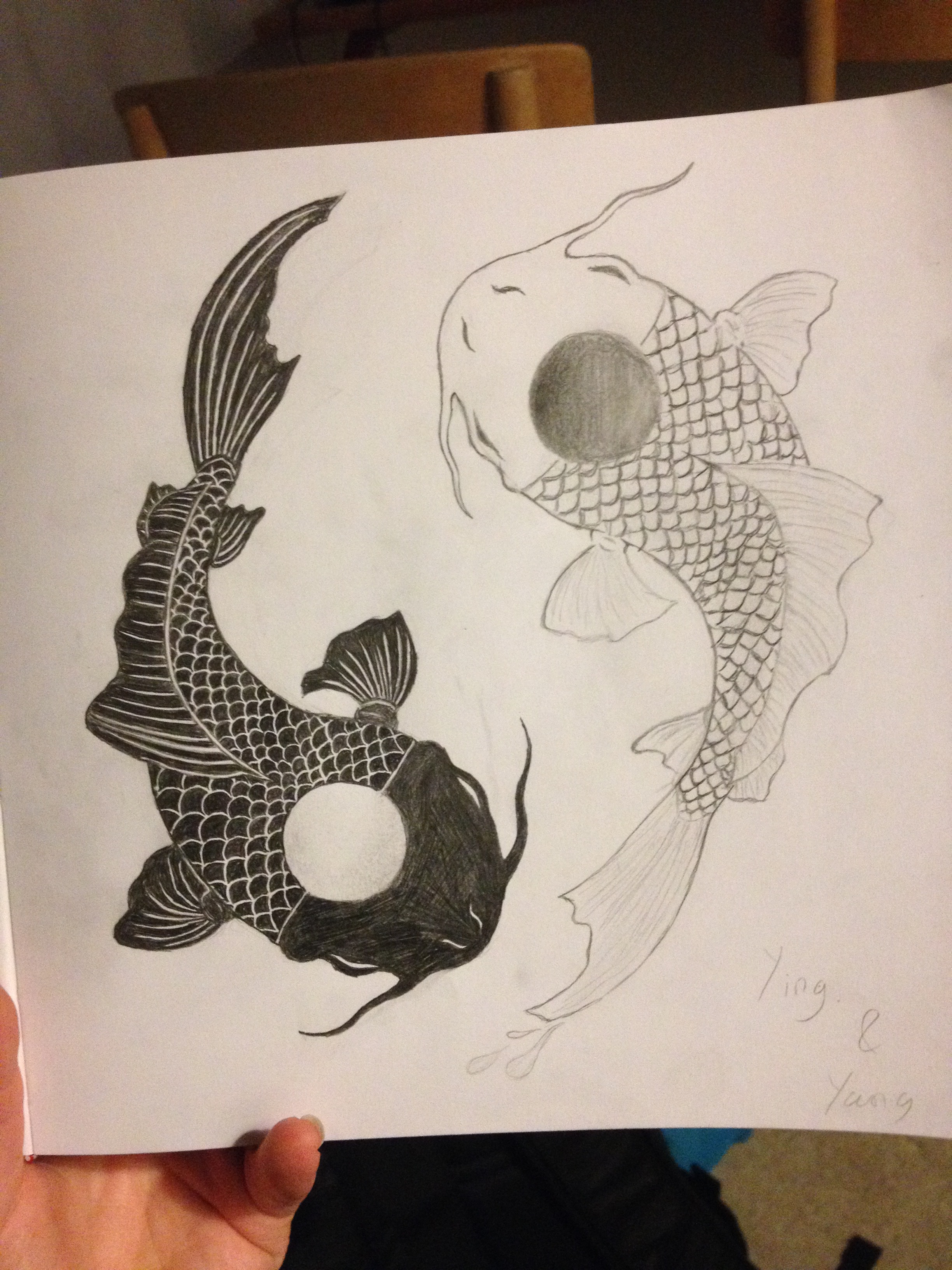 Ying and Yang Japanese koi fish