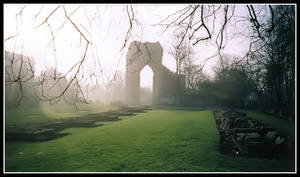 The Ruins of St. Mary's