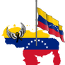 Luto-activo-en-Venezuela