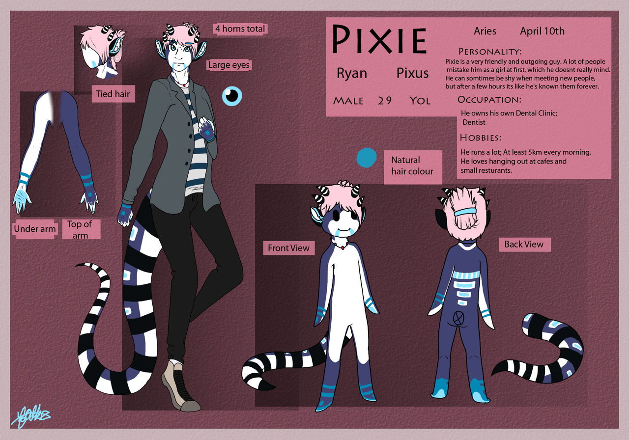 Pixie Objectives Pixie Reference Sheet by Falkzii on DeviantArt