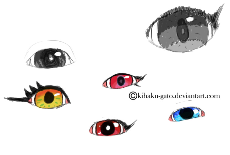 Eye study