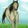 Horse you gallop