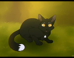 Ravenpaw