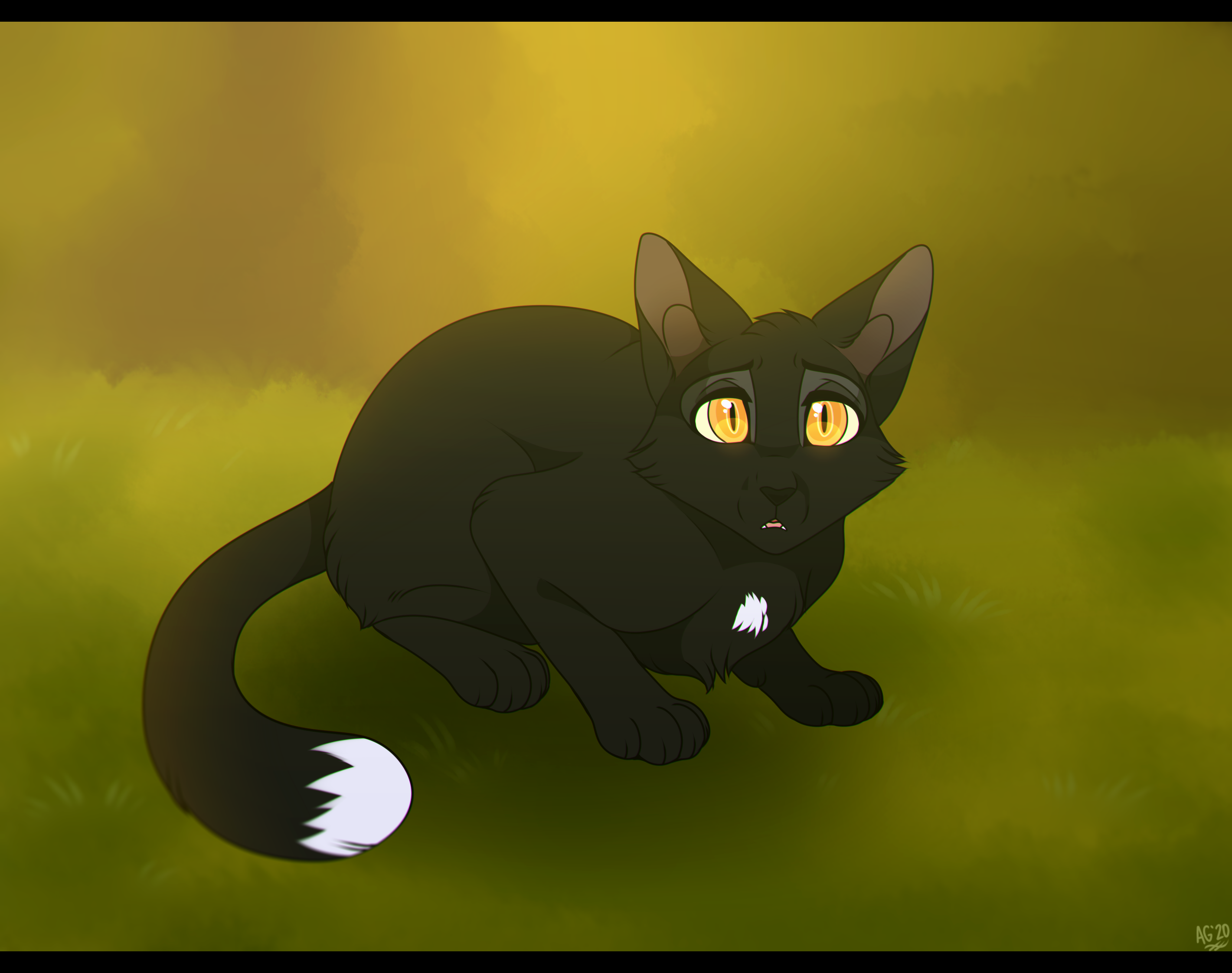 Warriors: Ravenpaw by Nightryx on DeviantArt