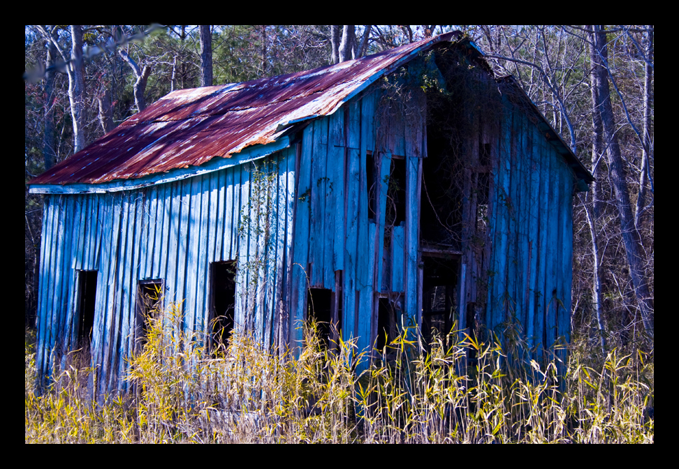 Sugar Shack