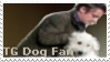 Top Gear Dog Stamp