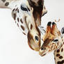 Giraffe Painting