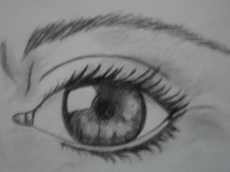 Eye