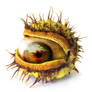 Chestnut Eye