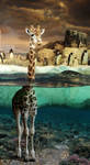 Charlie the Giraffe by oilcorner