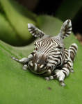 Zebrafrog by oilcorner