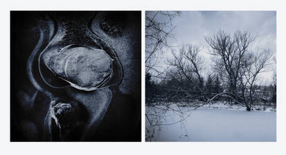 En attendant un jour de neige