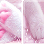 [Divider] Cute Kitty Toes