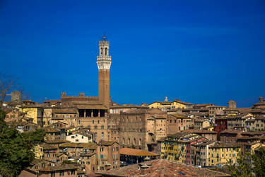 Siena cityscape