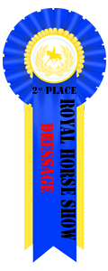 Second Place Dressage Ribbon