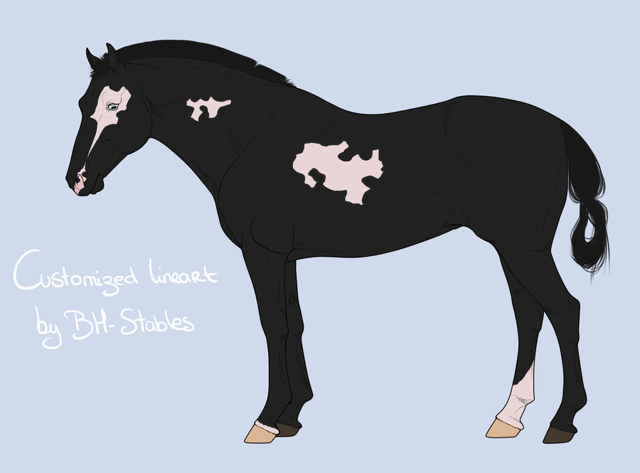 Horse Adoptable #1 - CLOSED